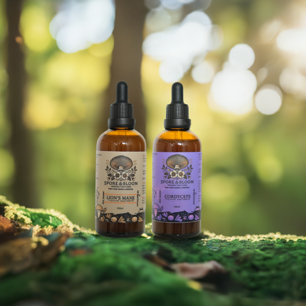 Active 2 Pack - Organic Lion's Mane & Cordyceps Mushroom Tinctures
