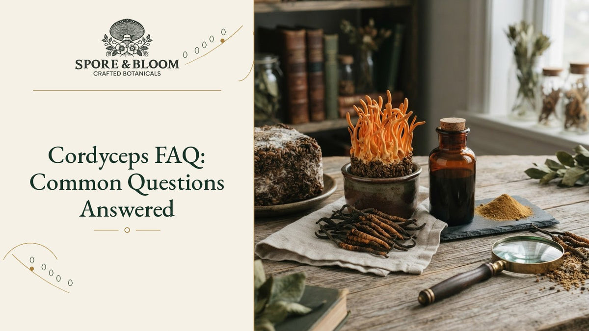 Cordyceps FAQ: Common Questions Answered