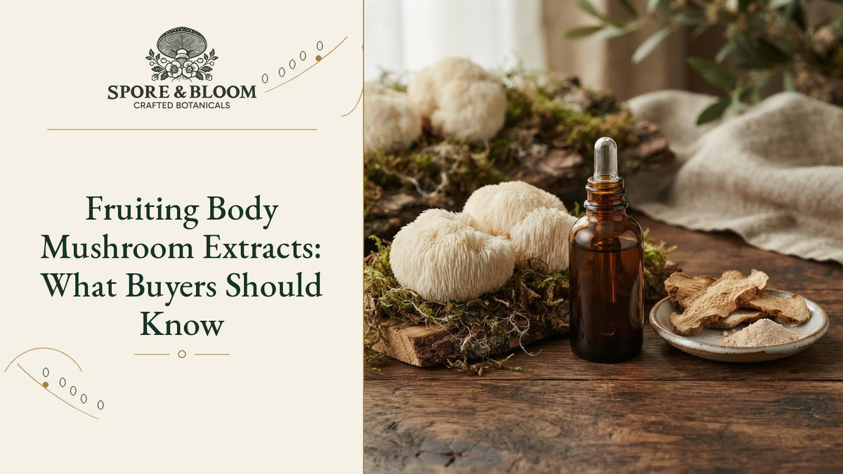 Fruiting Body Mushroom Extracts: What Buyers Should Know