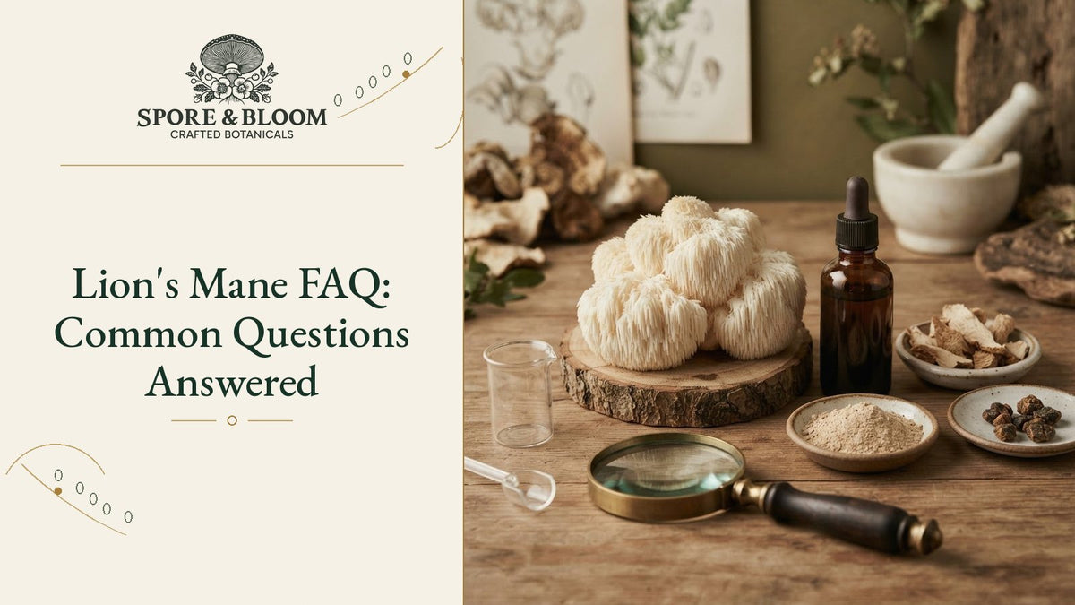 Lion's Mane FAQ: Common Questions Answered