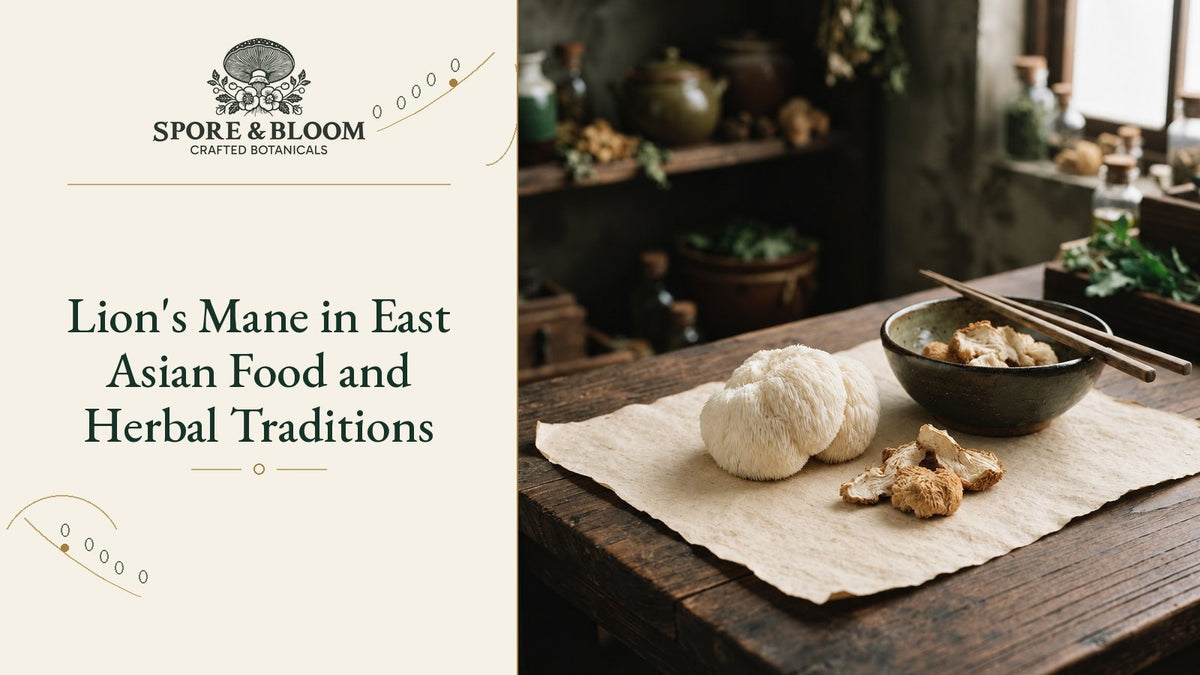 Lion's Mane in East Asian Food and Herbal Traditions