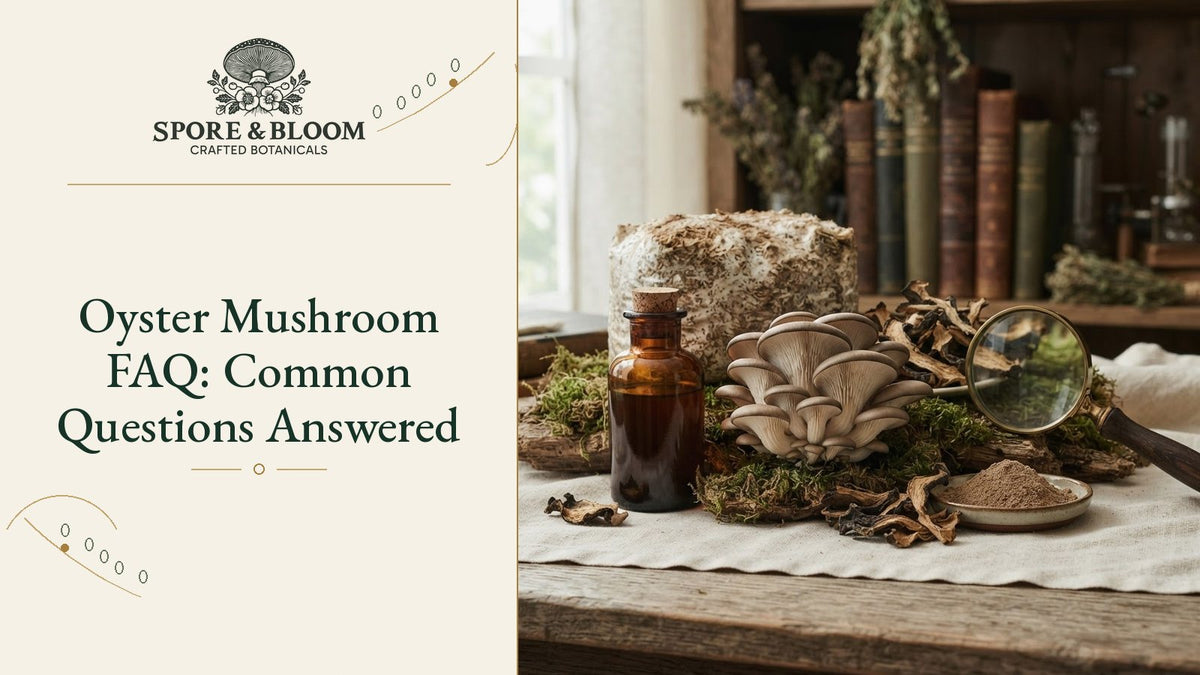Oyster Mushroom FAQ: Common Questions Answered