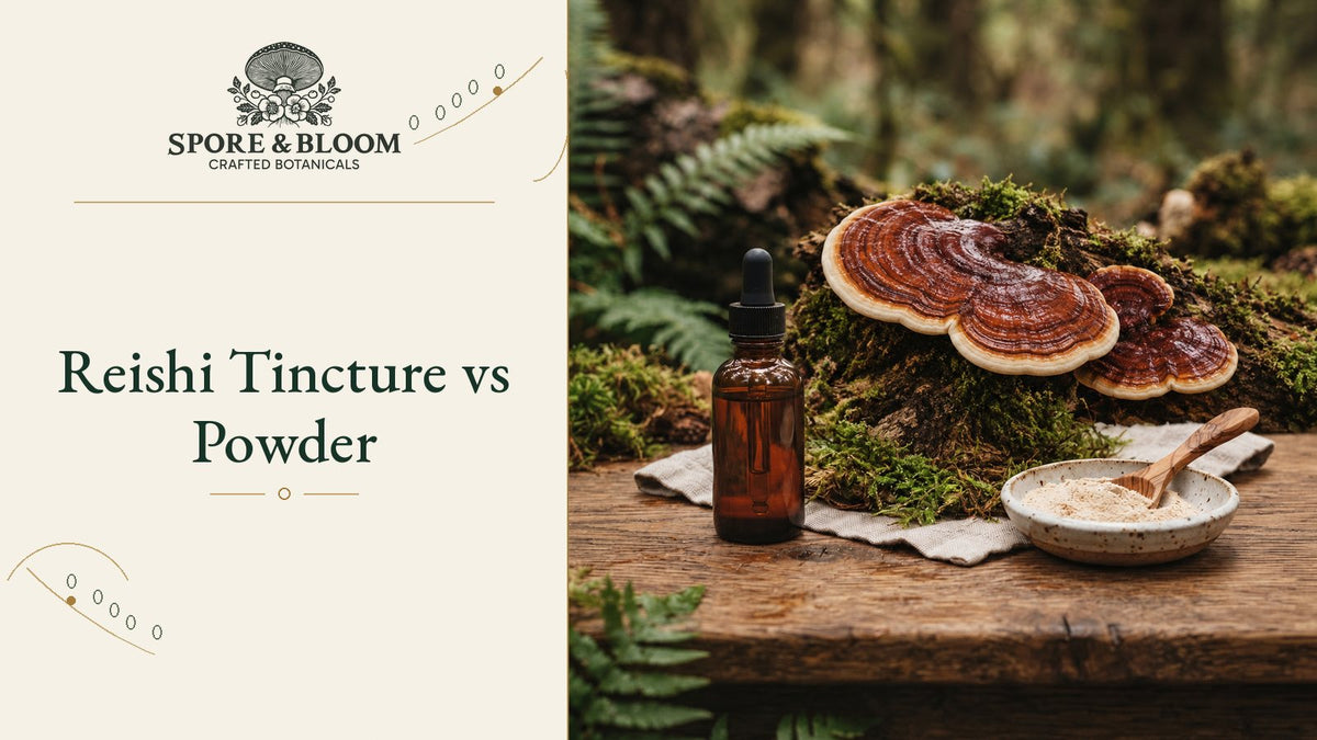 Reishi Tincture vs Powder