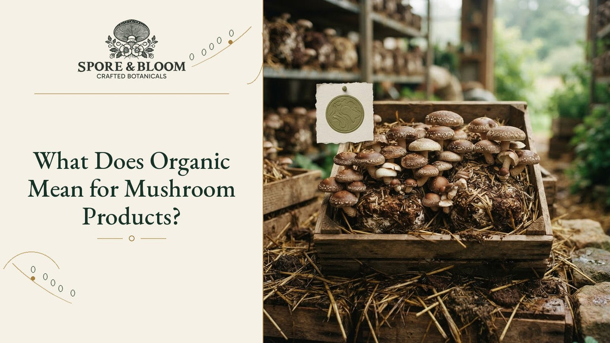 What Does Organic Mean for Mushroom Products?