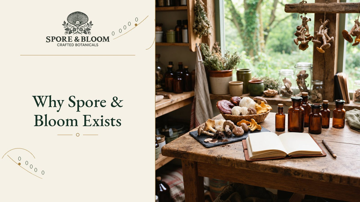Why Spore & Bloom Exists