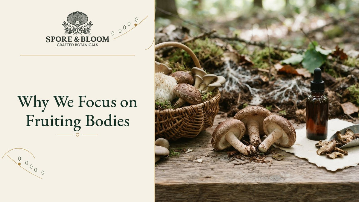 Why We Focus on Fruiting Bodies