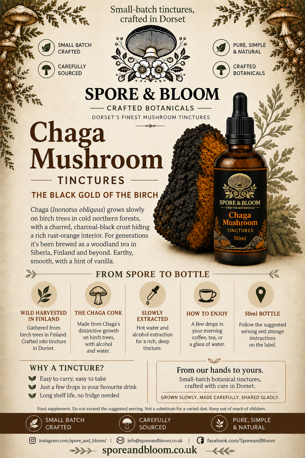Chaga mushroom tincture information card