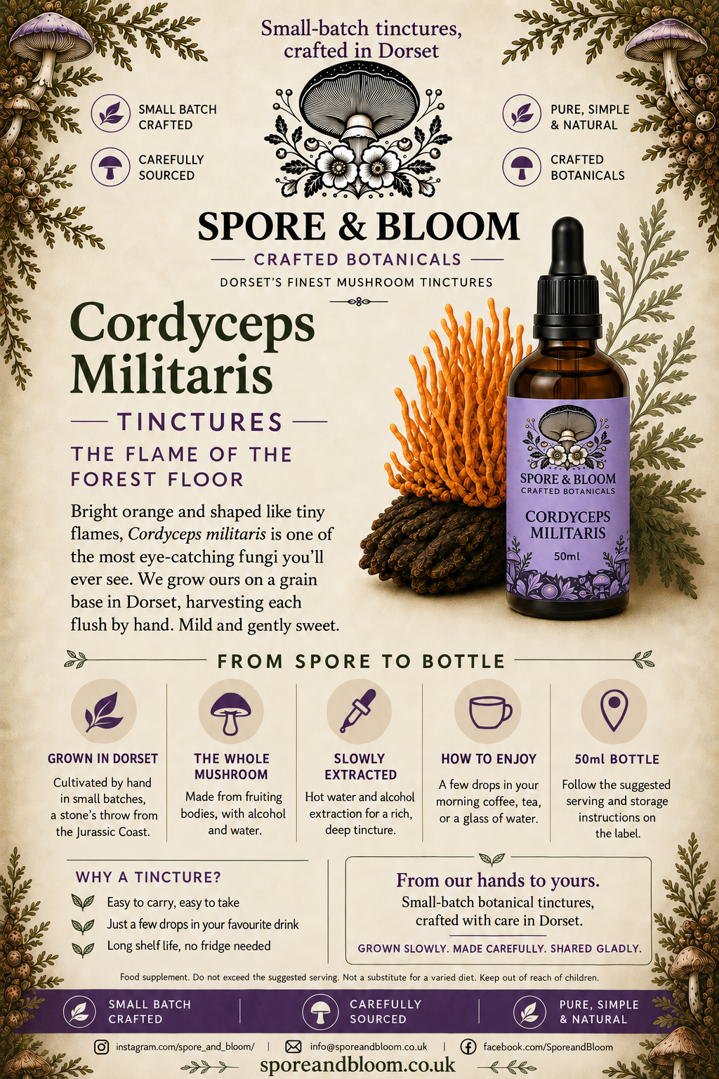 Cordyceps militaris mushroom tincture information card
