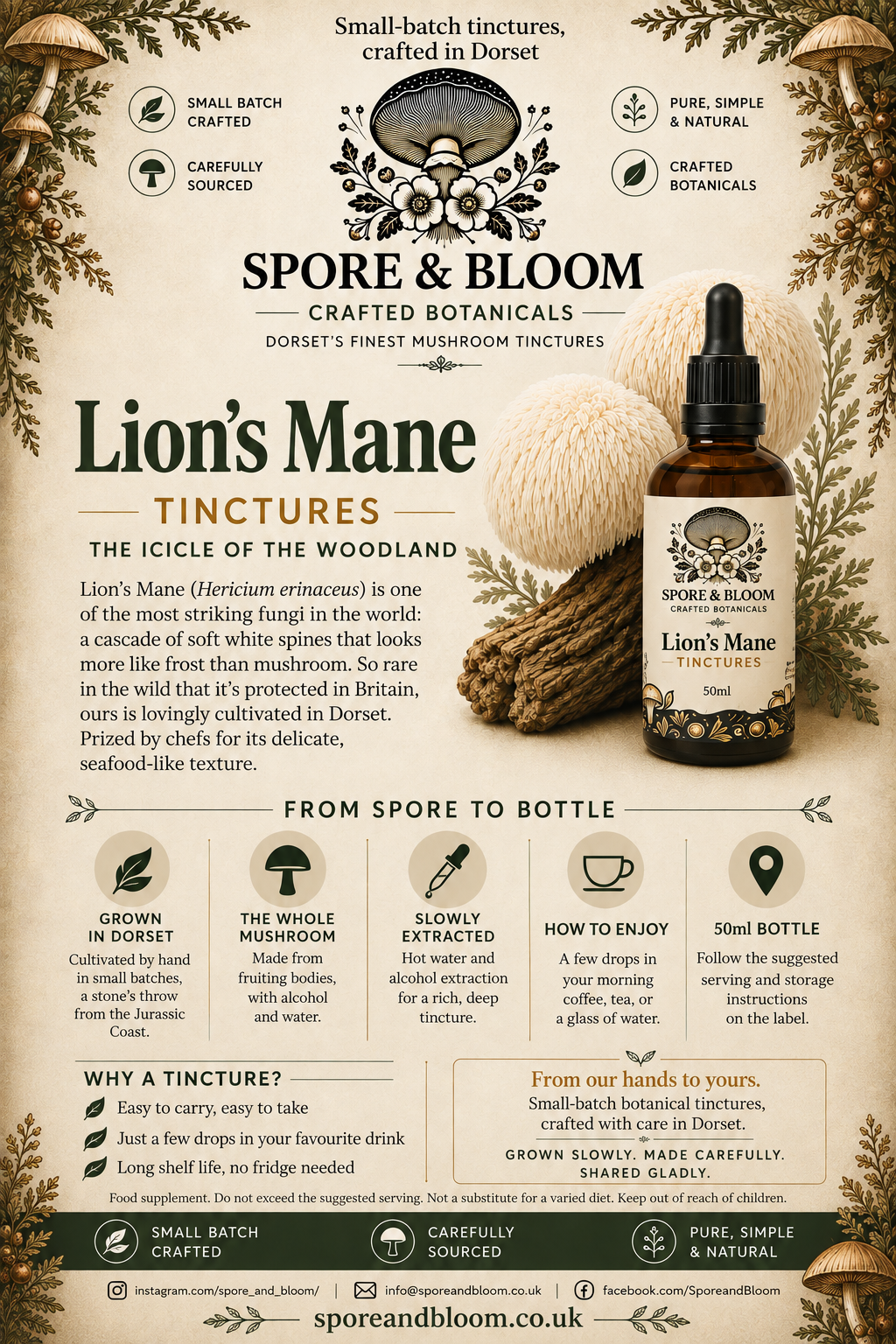 Lion's Mane mushroom tincture information card