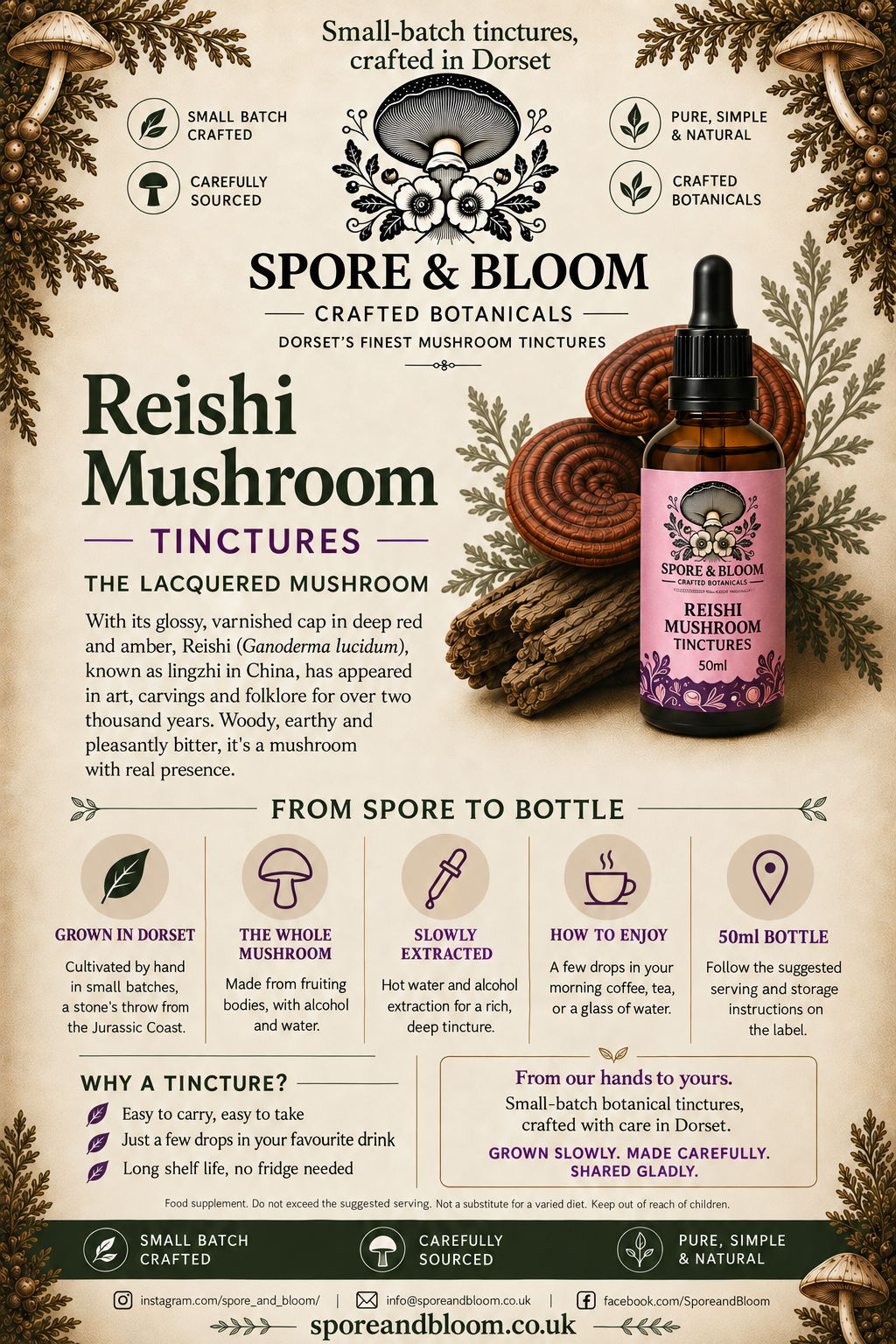 Reishi mushroom tincture information card