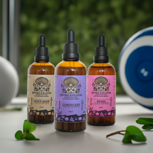 Active triple pack plus - Organic Lion's Mane Cordyceps & Reishi Mushroom Tinctures