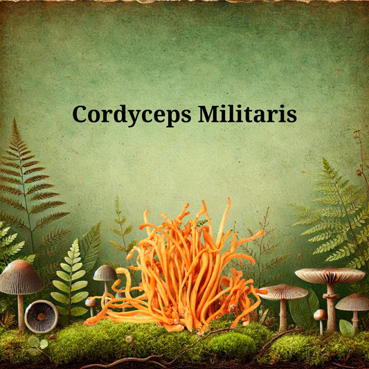 Organic Cordyceps Mushroom Tincture