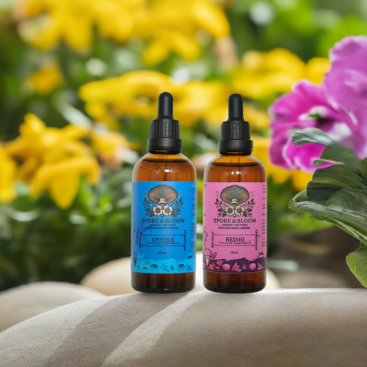 Harmonising 2 Pack - Organic Oyster & Reishi Mushroom Tinctures
