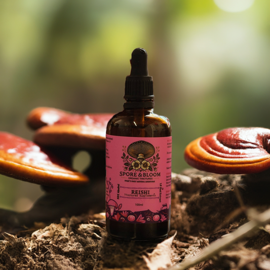 Organic Reishi Mushroom Tincture