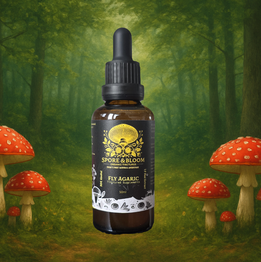 Limited Supply - Dorset Foraged Organic Amanita Muscaria Mushroom Tincture