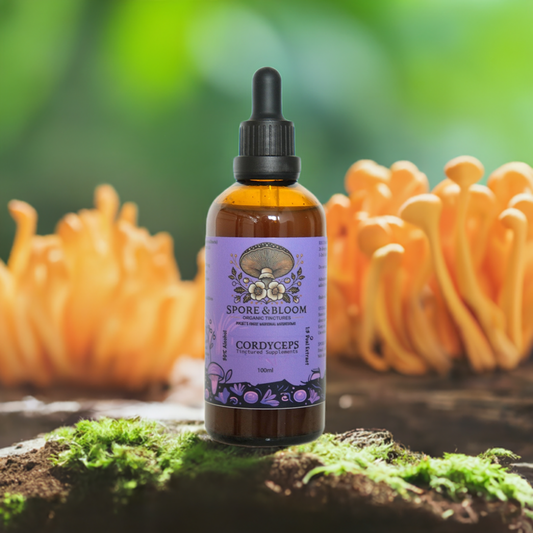 Organic Cordyceps Mushroom Tincture