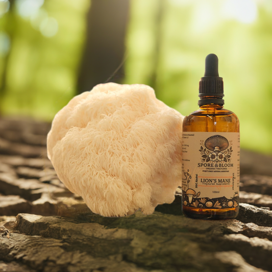 Active 2 Pack - Organic Lion's Mane & Cordyceps Mushroom Tinctures