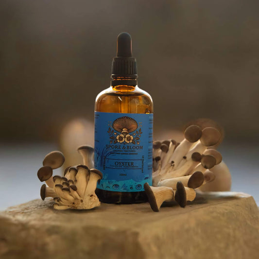Harmonising 2 Pack - Organic Oyster & Reishi Mushroom Tinctures